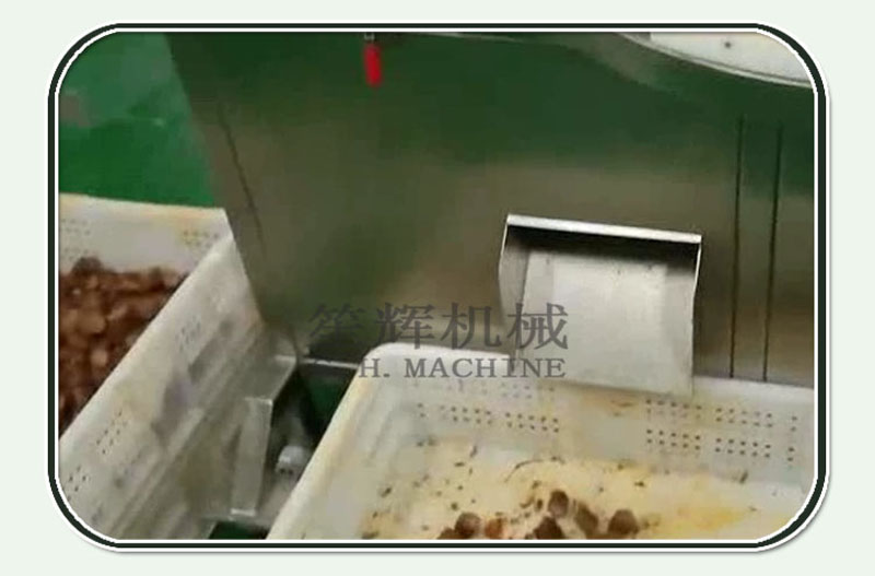 Cortadora de cuello de pollo