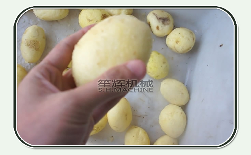 peladora de zanahoria-m&aacute;quina de pelar patatas