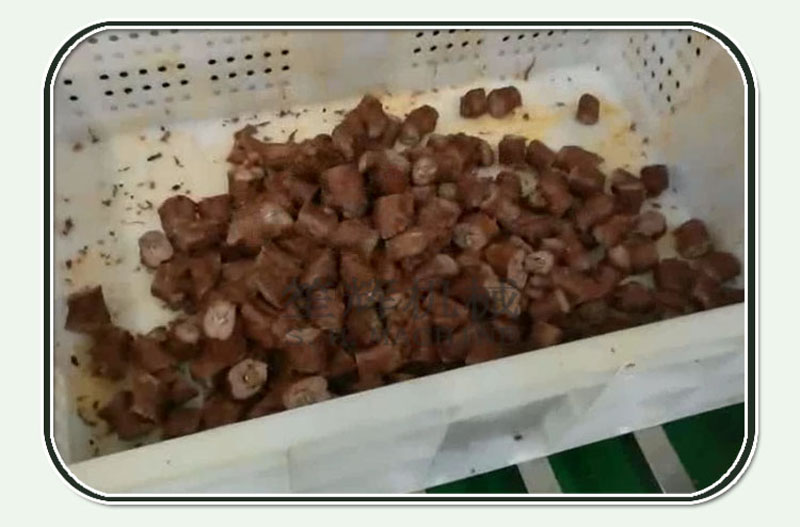 Cortador de cuello de pollo