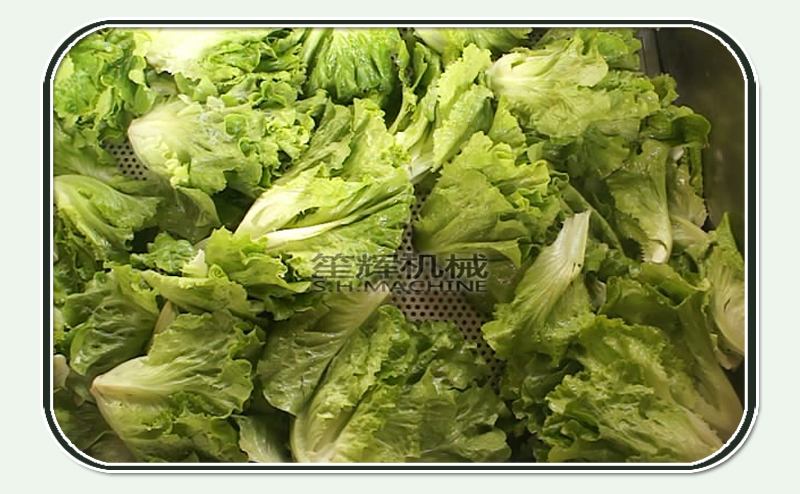 Lavadora de verduras y ozono. Lavadora de verduras.