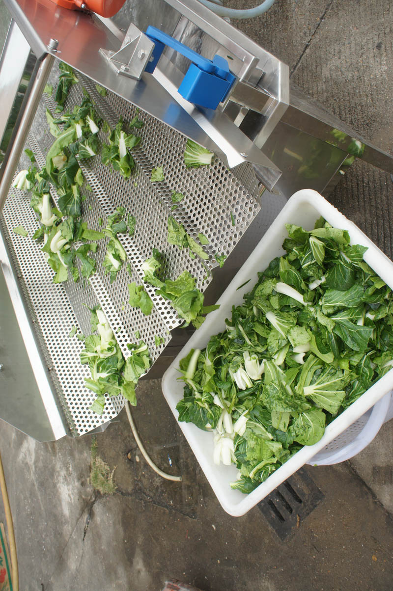 lavadora de frutas y verduras