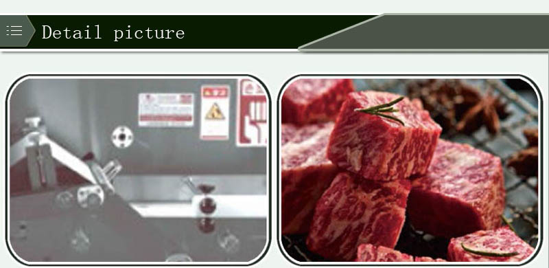 M&aacute;quina para cortar carne congelada1