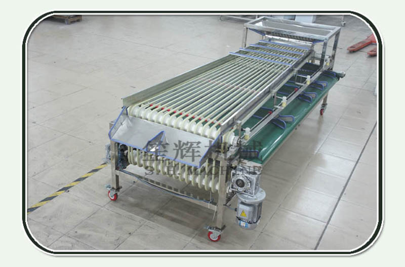 producci&oacute;n de procesamiento de alimentos