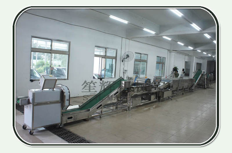 L&iacute;nea de producci&oacute;n de puerro