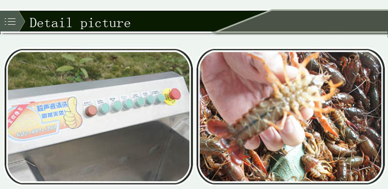 m&aacute;quina de procesamiento de pescado