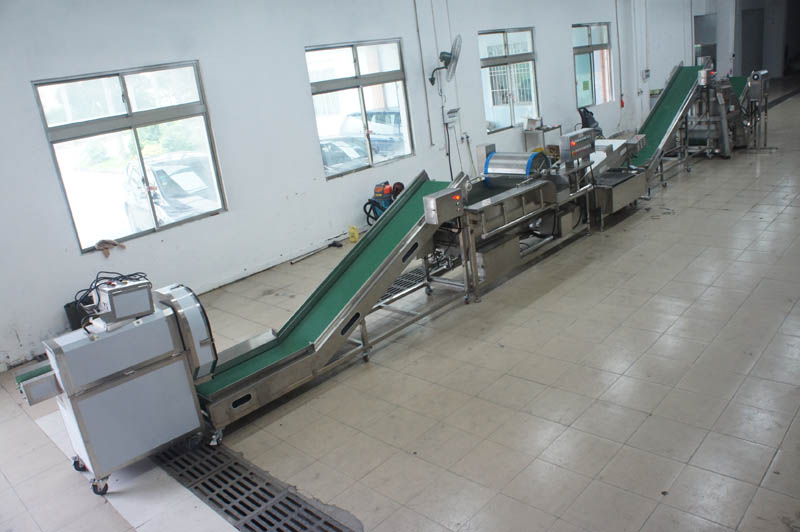 l&iacute;nea de lavado de vegetales