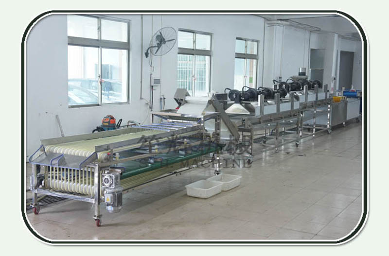 clasificadora de frutas