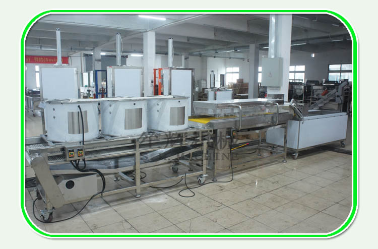 Jiangxi clientes ordenó un lote de lineas de produccion de procesamiento de vegetales a la nave sin problemas
