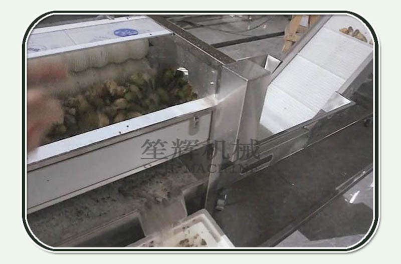 Procesamiento Noriko L&iacute;nea 1