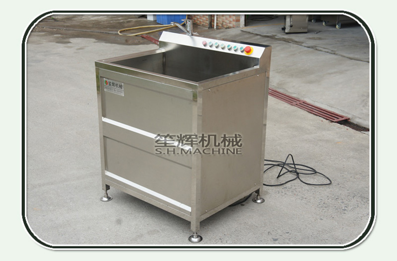 lavadora de burbujas de lavado de verduras