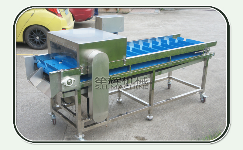 sierra m&aacute;quina de corte de alimentos m&aacute;quina-shenghui-pescado m&aacute;quina de corte