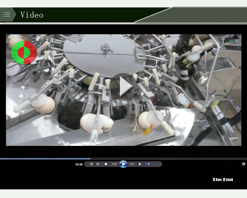 m&aacute;quina para romper huevos 1 m&aacute;quina de comida-shenghui-huevo