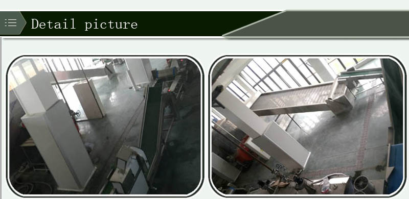 L&iacute;nea de producci&oacute;n de puerro 1