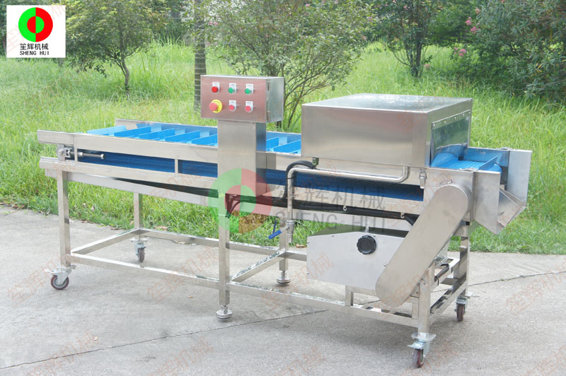 equipo de escamas de pescado