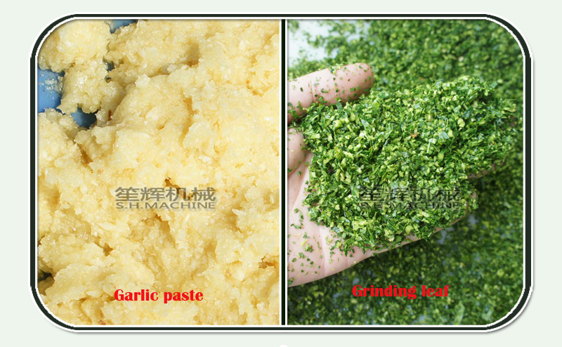 cortadora de verduras y verduras