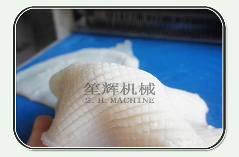 M&aacute;quina de corte de calamar