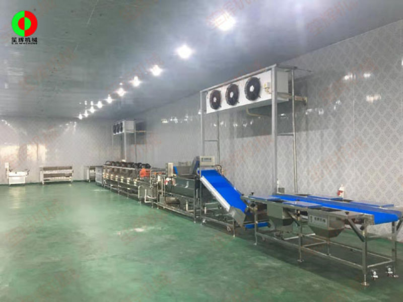 Instalación en el sitio de la línea de producción de procesamiento de frutas y verduras del cliente Foshan completa