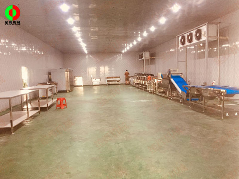 l&iacute;nea de lavado de verduras