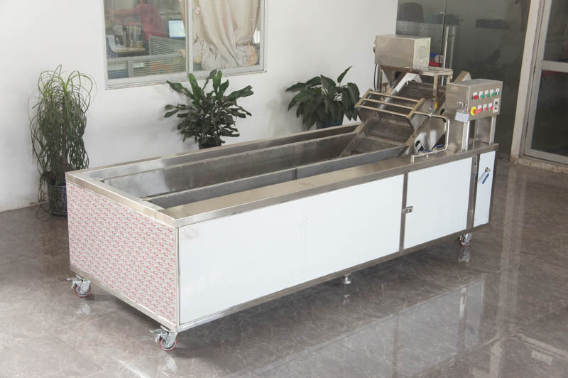 lavadora de vegetales