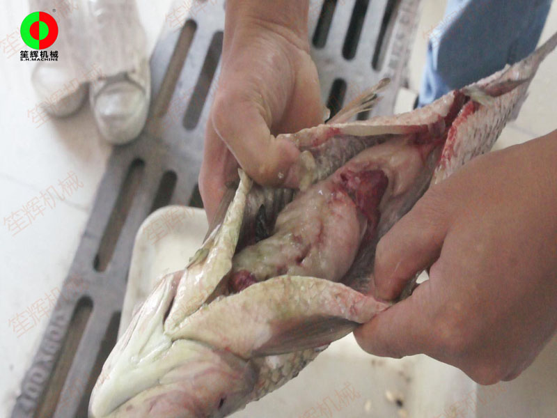 m&aacute;quinas de procesamiento de pescado