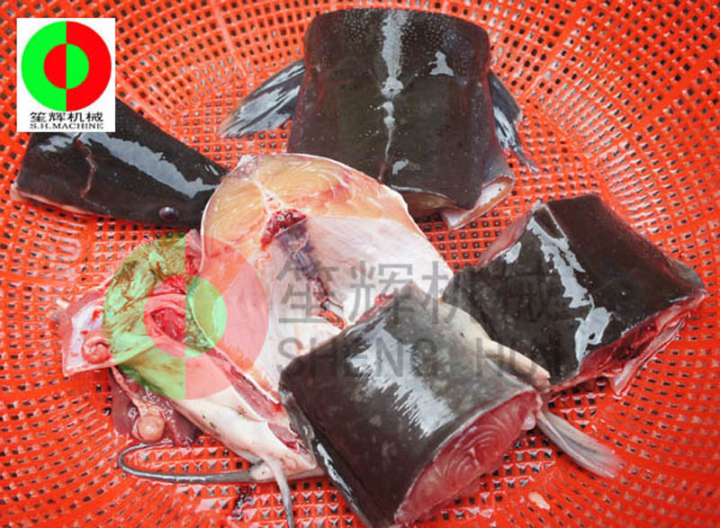 procesamiento de pescado de comida